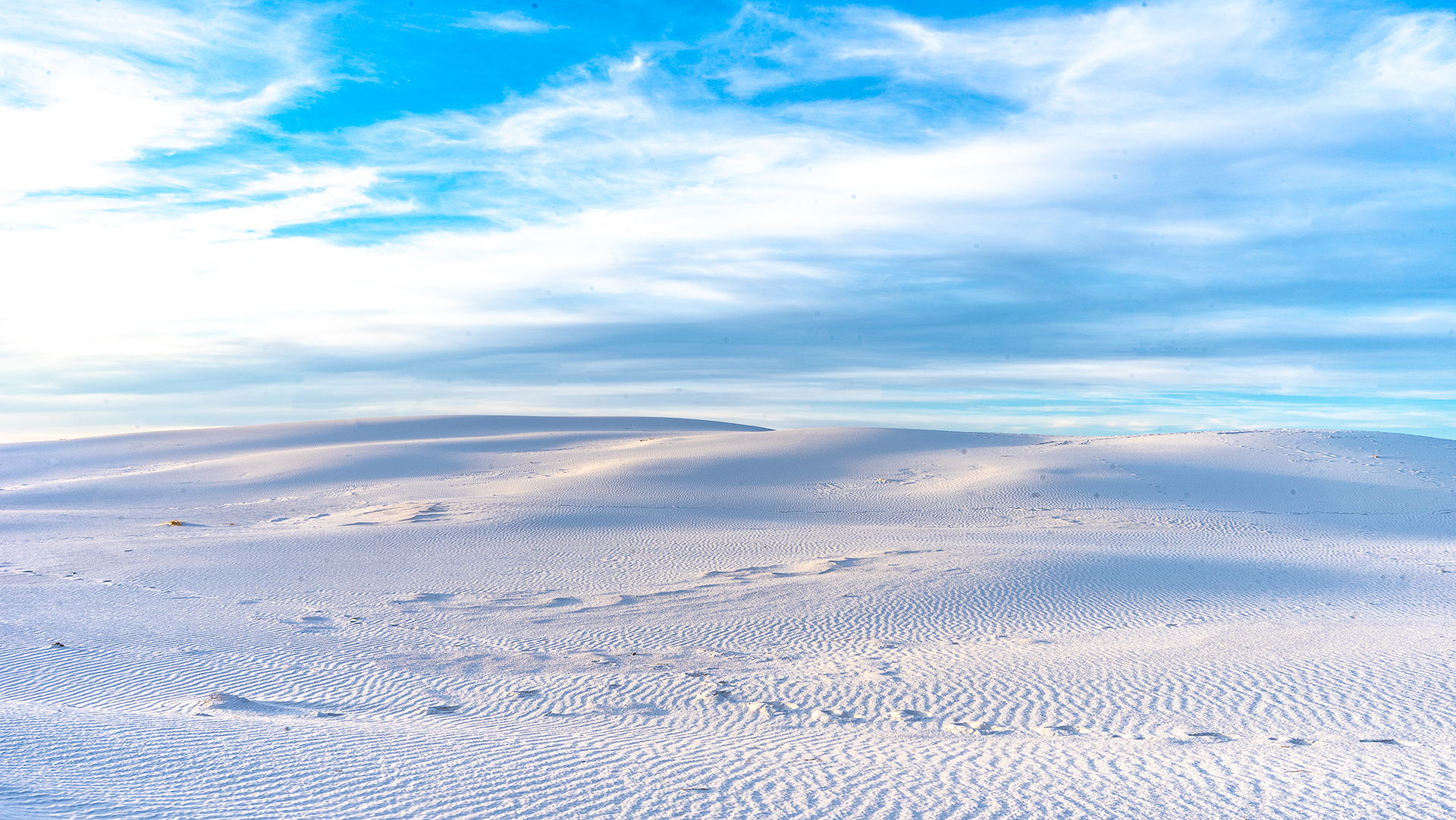 NewMexico-WhiteSands-8x4.5.jpg