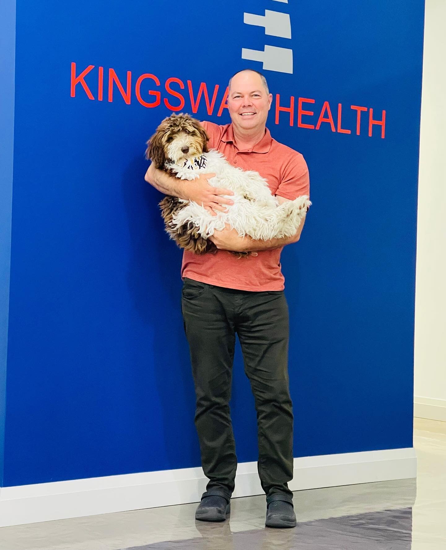 Meet Zeus! 🐶⁠
⁠
Zeus is a mini Australian Labradoodle and he is the newest member of the Kingsway Health team.⁠
⁠
Zeus joined us in May and has been an amazing addition to the family. ⁠
⁠
⁠
#animalchiropractic #healthypets #caninerehabilitation #can