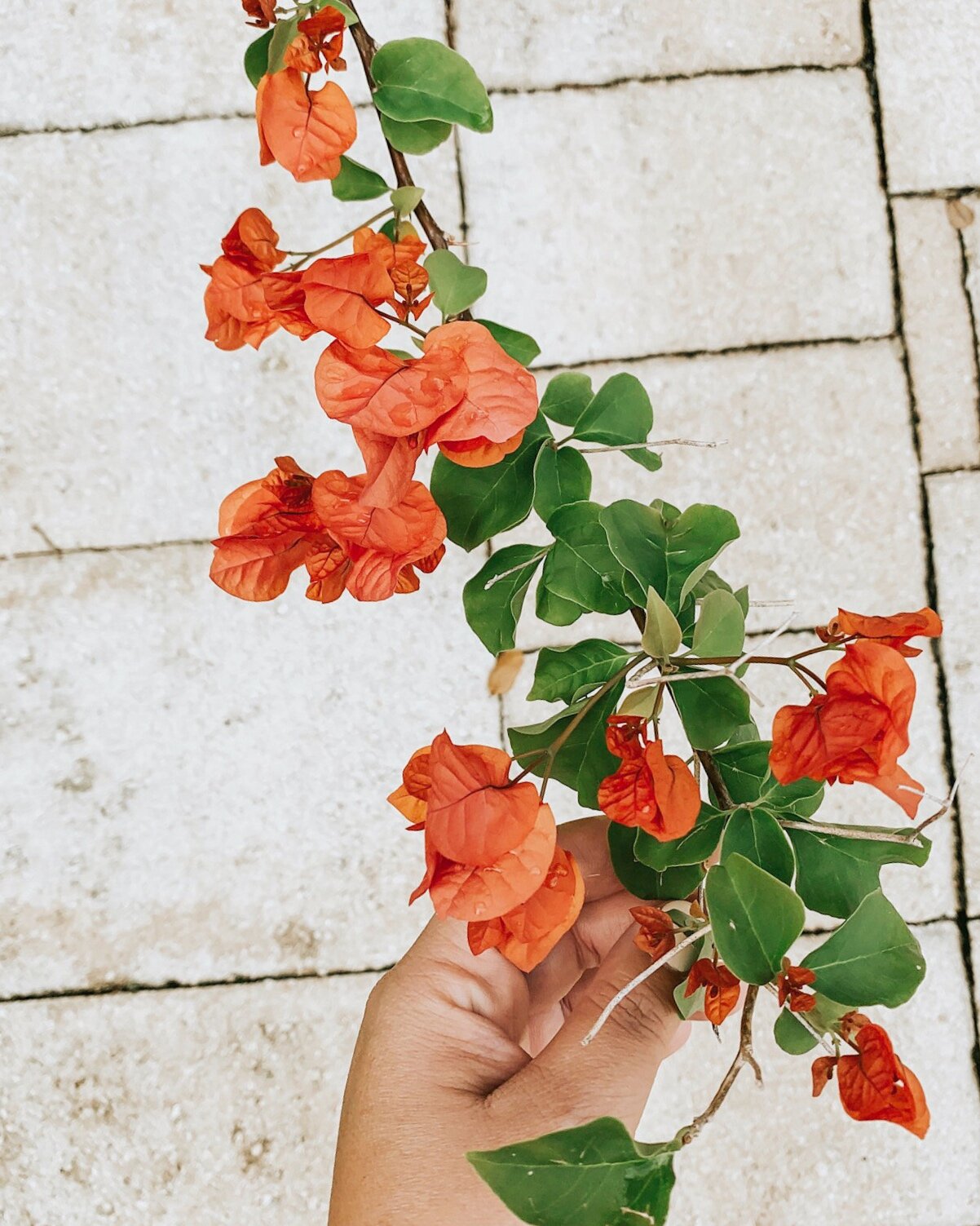 Not sure how to find your purpose? Try this. 