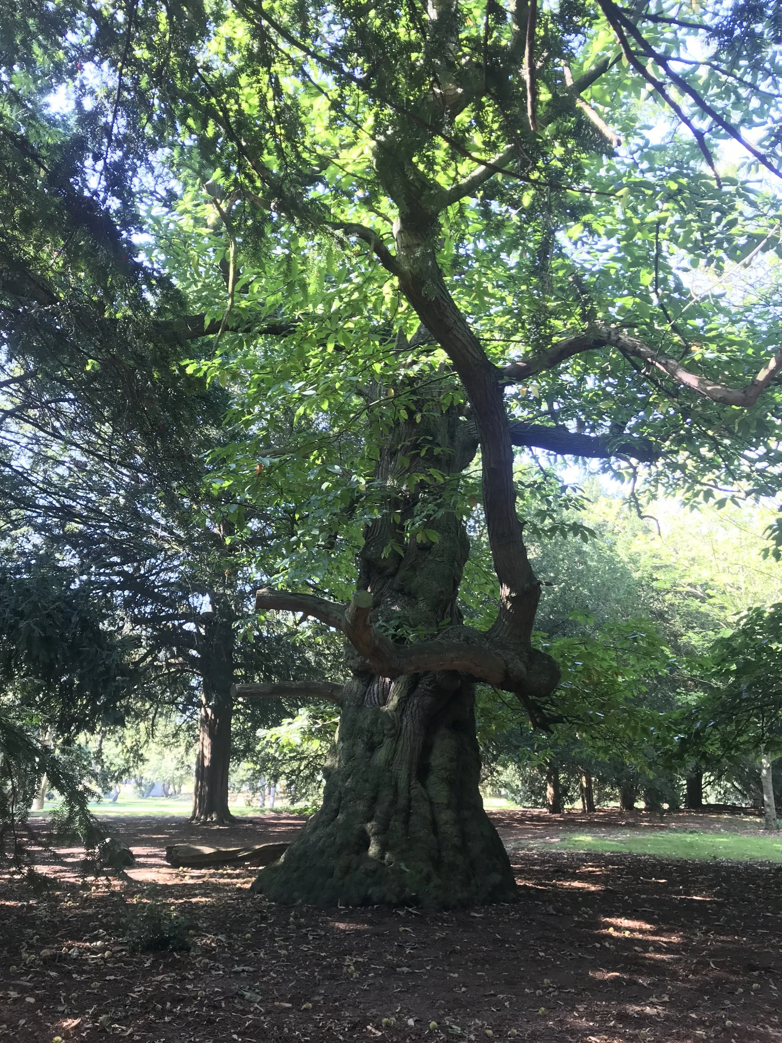 Workshop in Kelham Hall