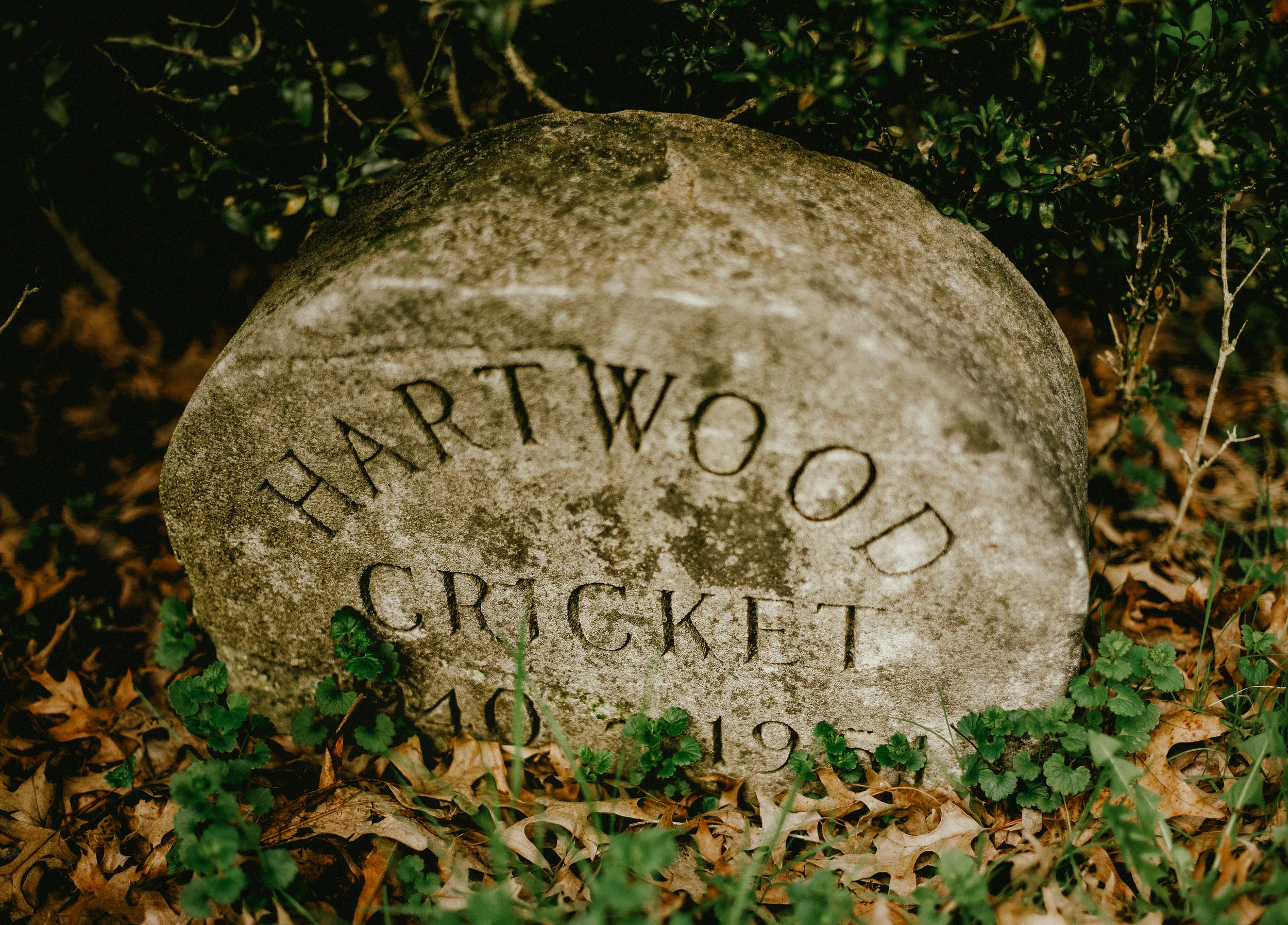 kw-hartwood-pet-cemetery-img1.jpg