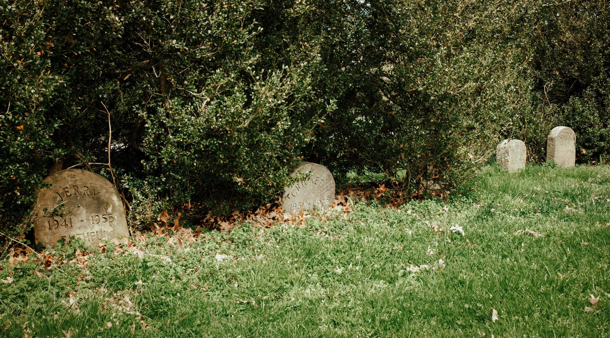kw-hartwood-pet-cemetery-img2.jpg