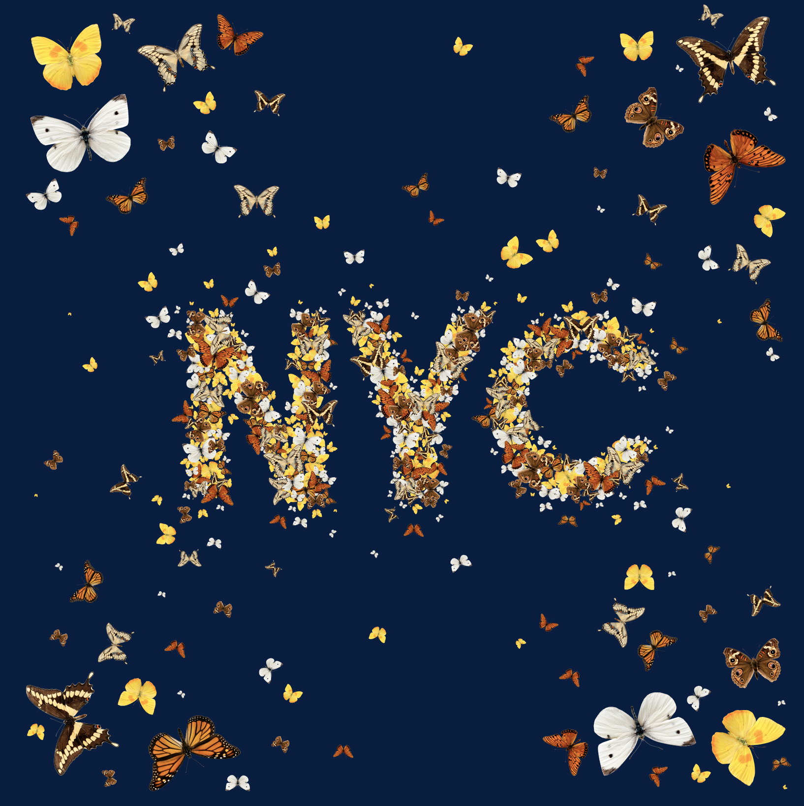 Kat Walker NYC butters.png