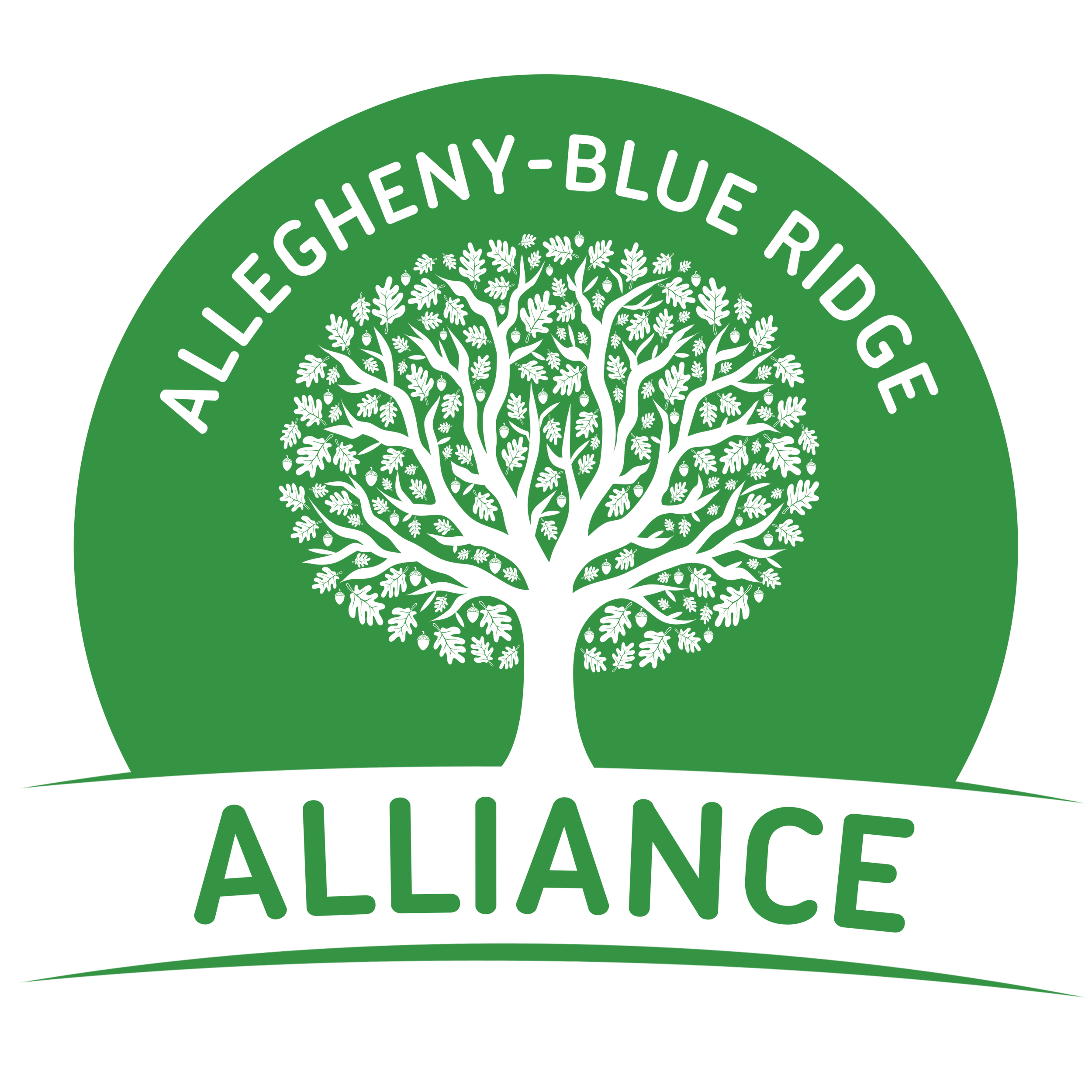 PNG Transparent Background.png