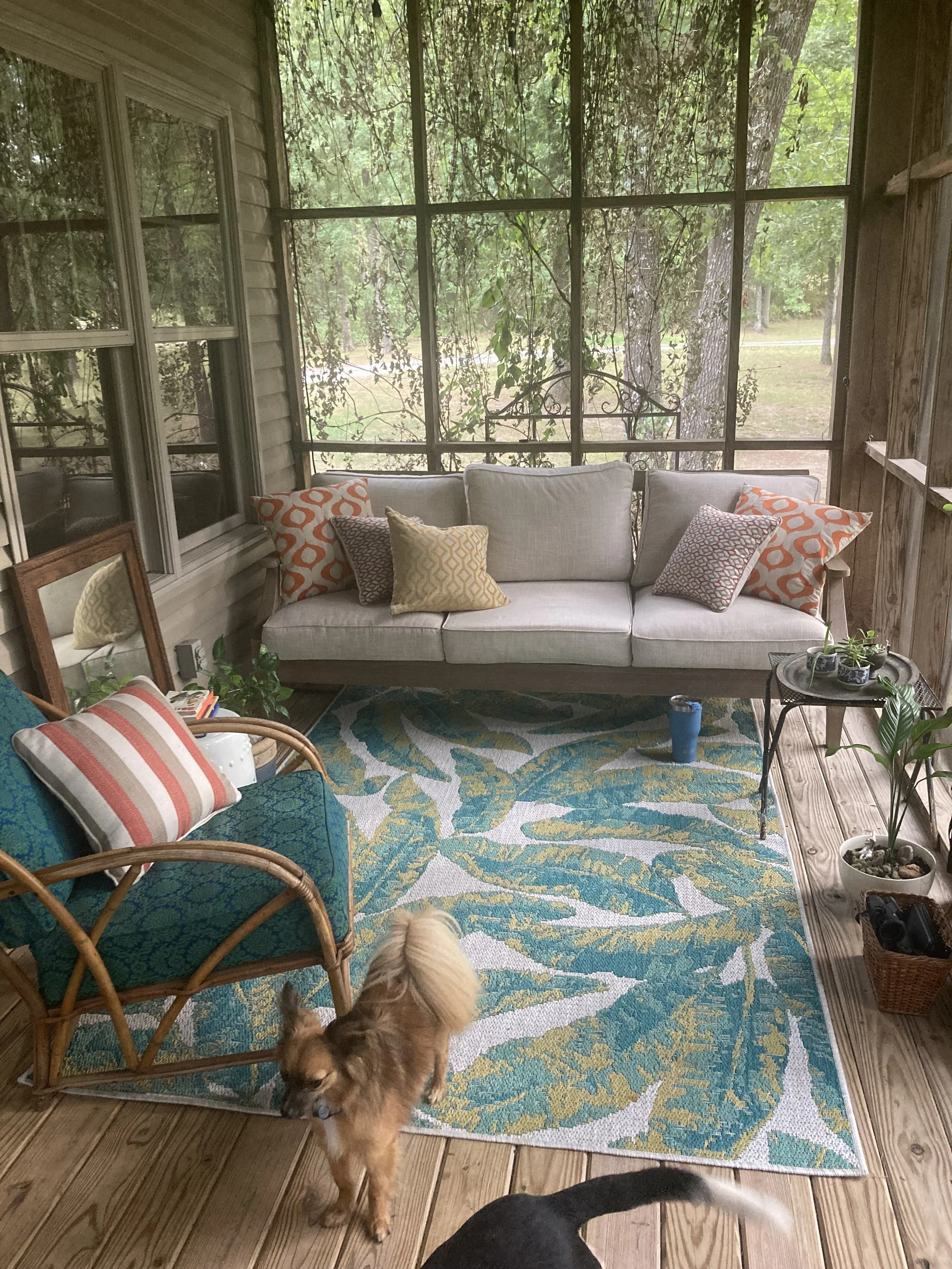 "My Why Wednesday" Staging for Success