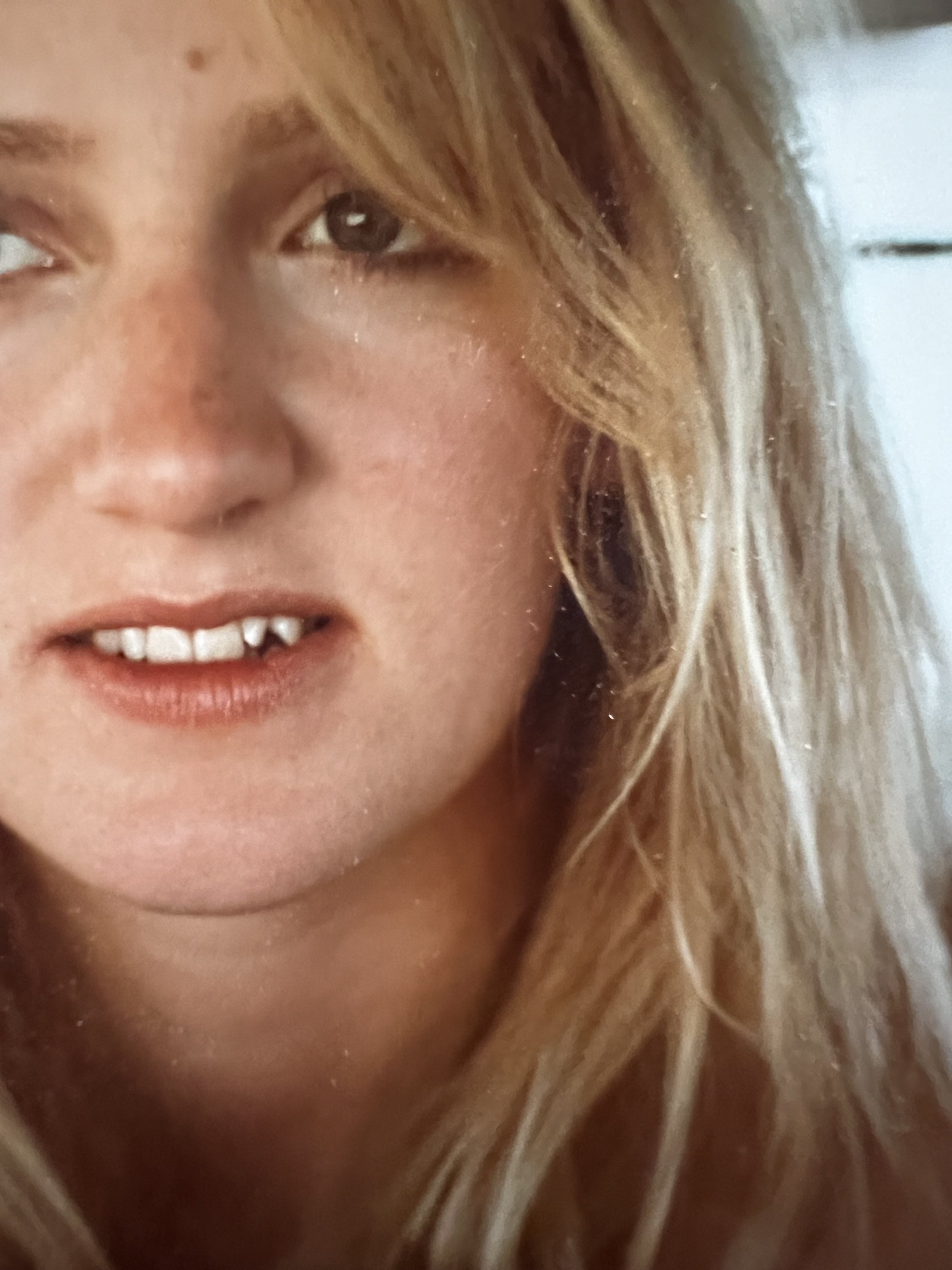 Frozen Apple Pie &amp; Olive Garden