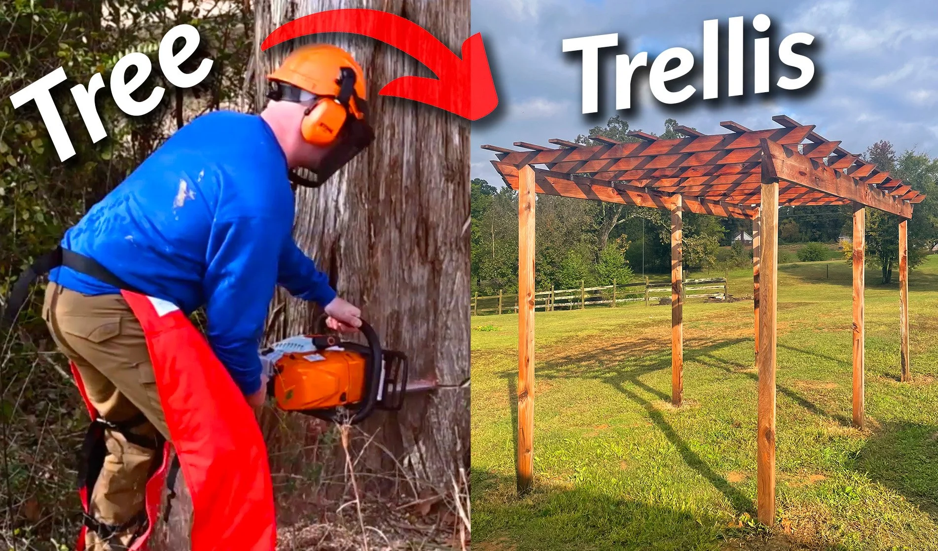 Tree to Trellis