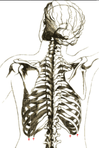 Arm Circles to Open Shoulders