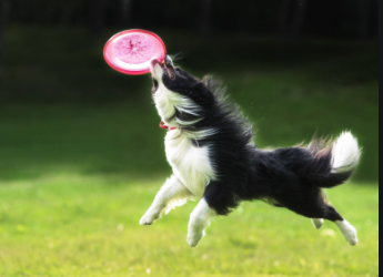 Connecting Hips and Shoulders for A Great Toss