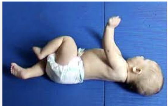 Reset Your Body Beat - 7 - Jiggle and Roll 