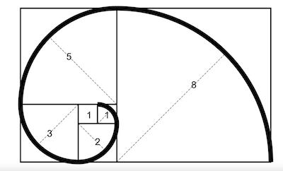 Fibonacci curve source: bbc