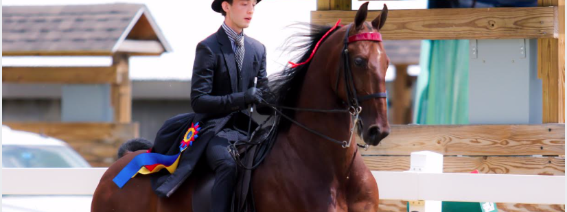 Shoulder Tips and Elbows, Deep Belly Breathing and Other Tips for Equestrians