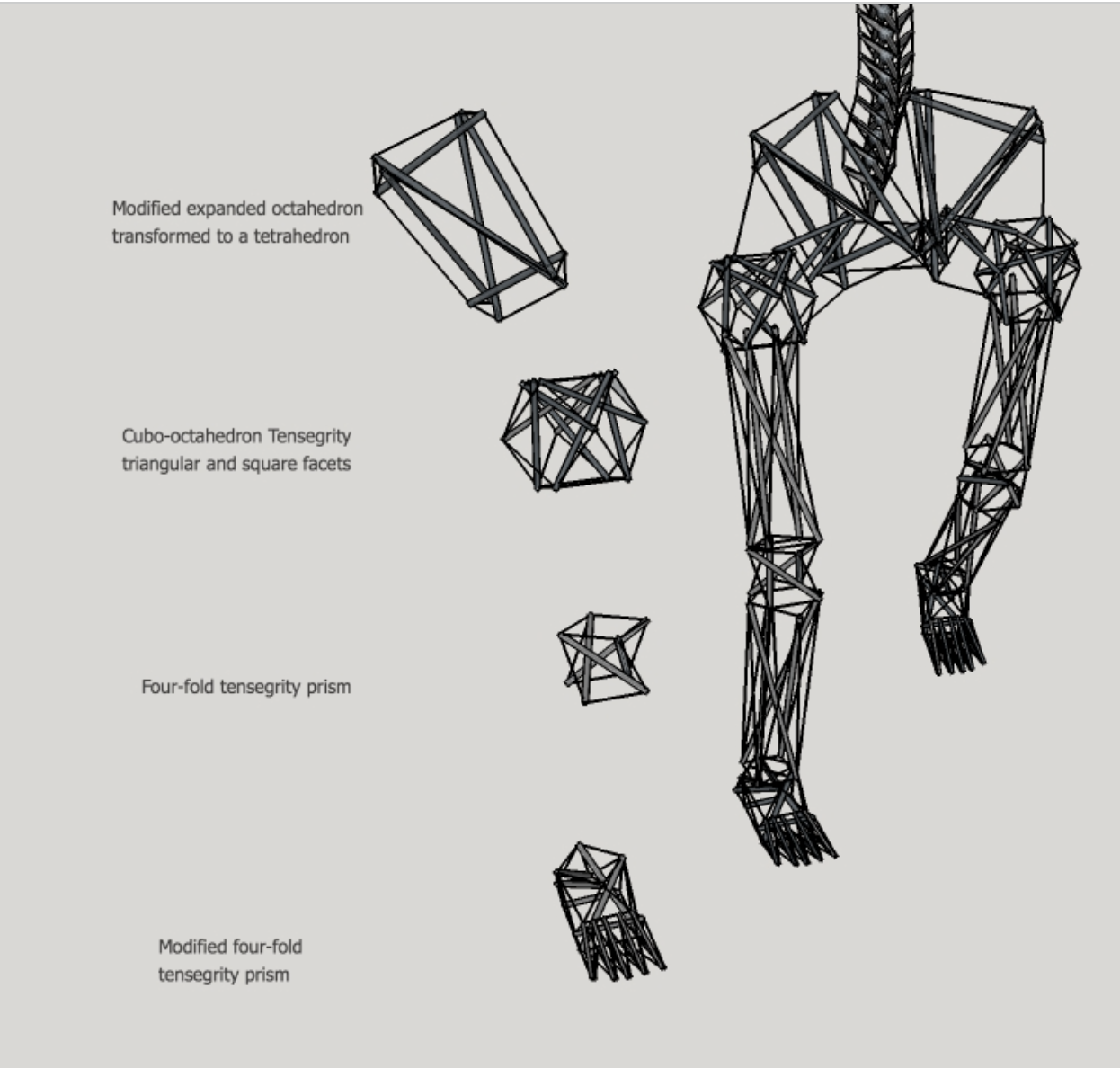 tensigrity model of human leg, source intensiondesigns.ca
