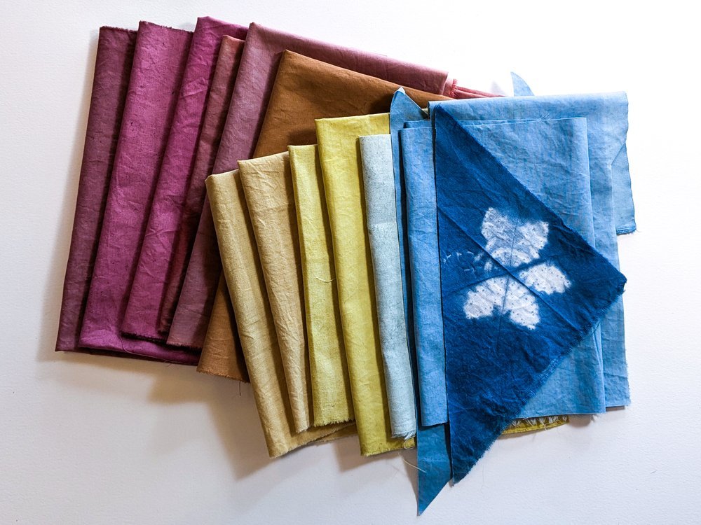 Mushroom and Plant Dyed Quilt Blocks–Forage to Finish (Appalachian Heritage Week) at John C. Campell Folk School