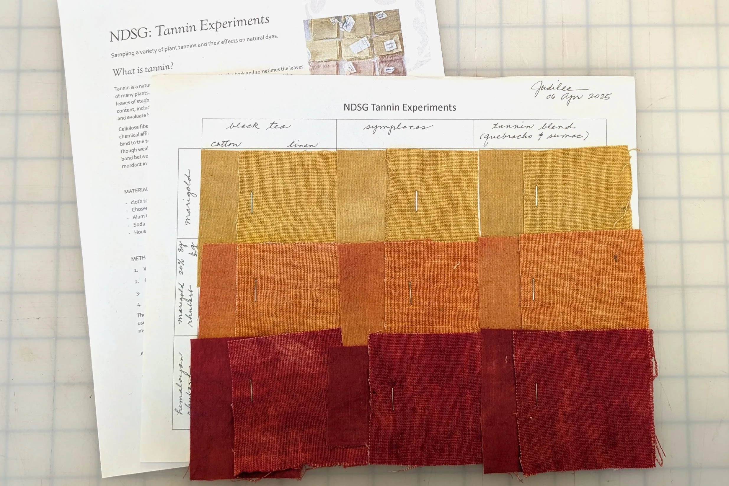 Natural Dye Study Group - Fall 2025