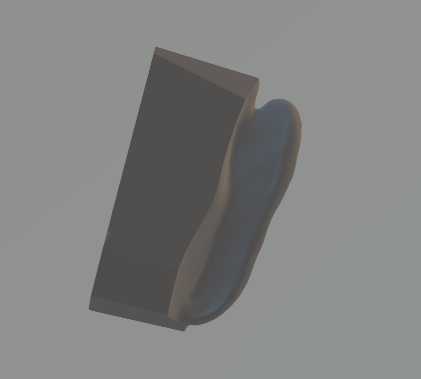 Modelled Ear 2.PNG