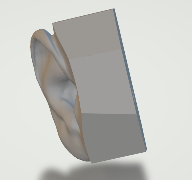 Modelled Ear 3.PNG