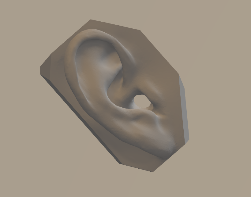 Modelled Ear.PNG