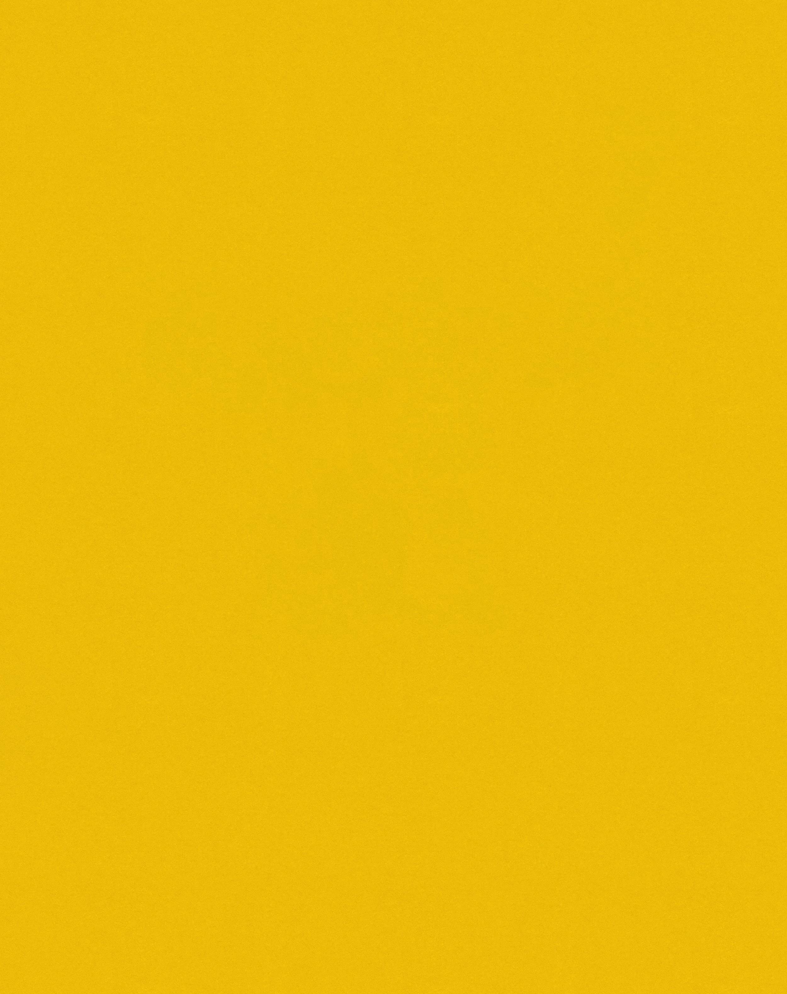 YellowTextureBG copy.jpg