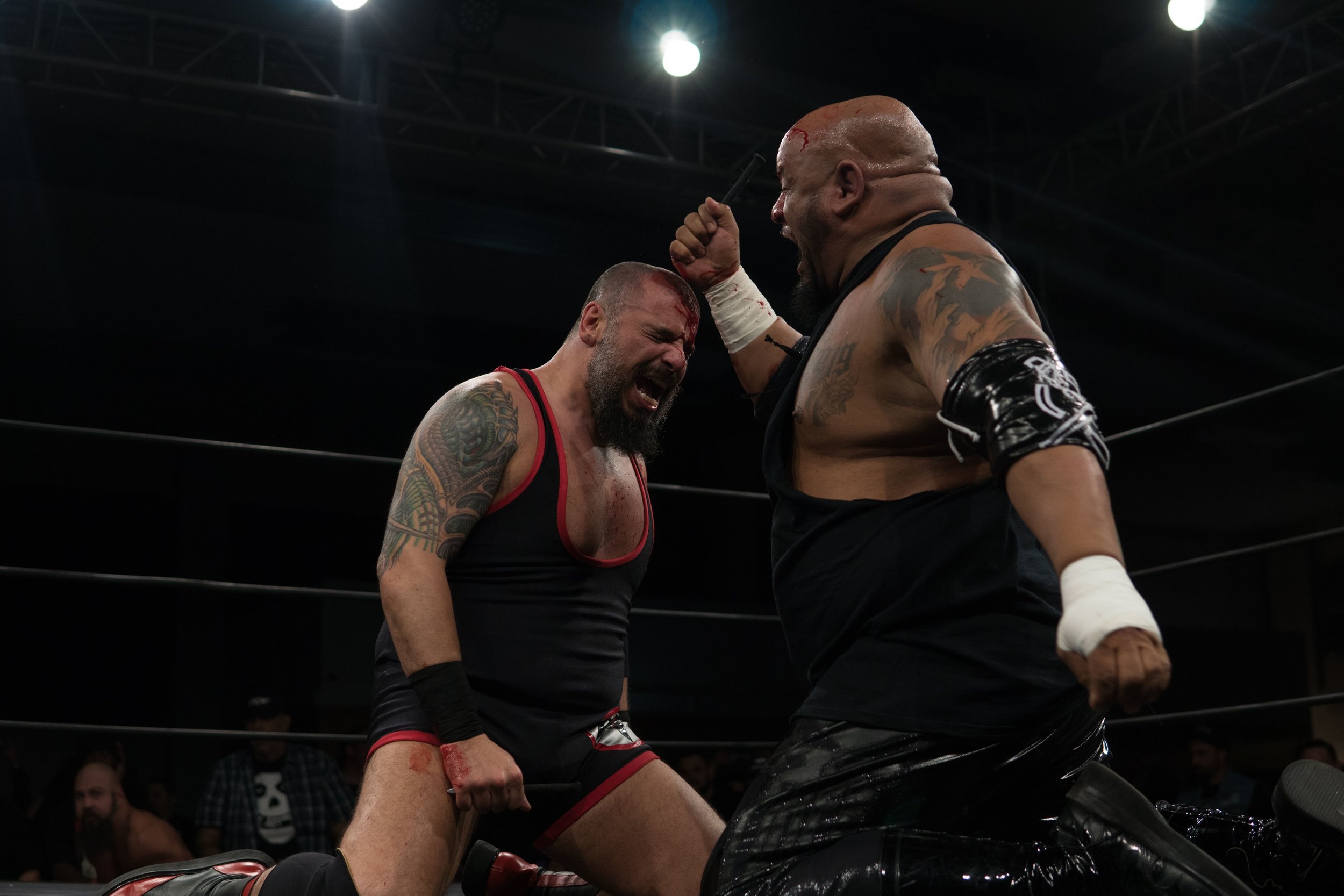 PCWULTRAPrimePhoto.jpeg