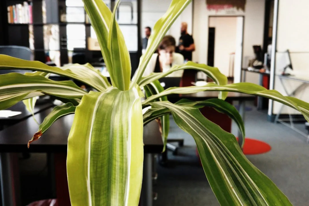 Eco-Friendly Business: Simple Steps To Save The World