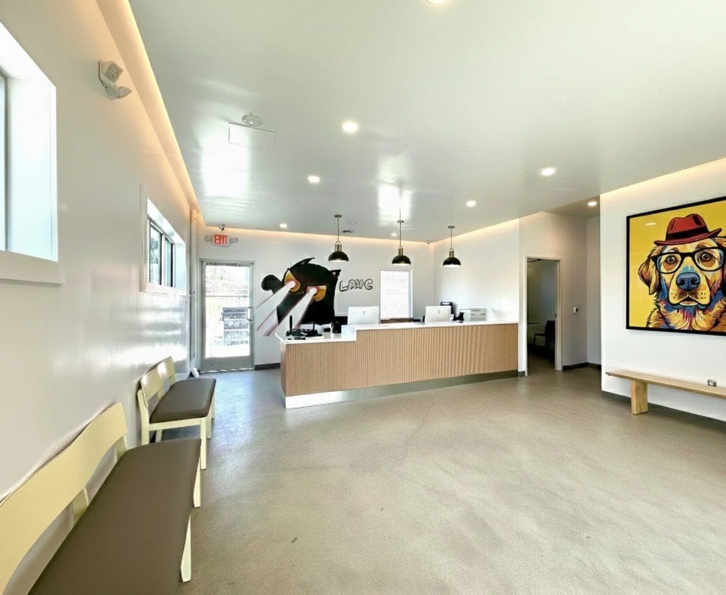 Interior of a modern office or vet clinic with a reception desk, seating, and dog-themed artwork on the walls.