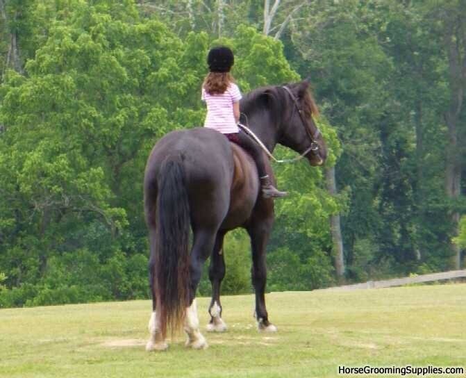 girl+on+horse.jpg