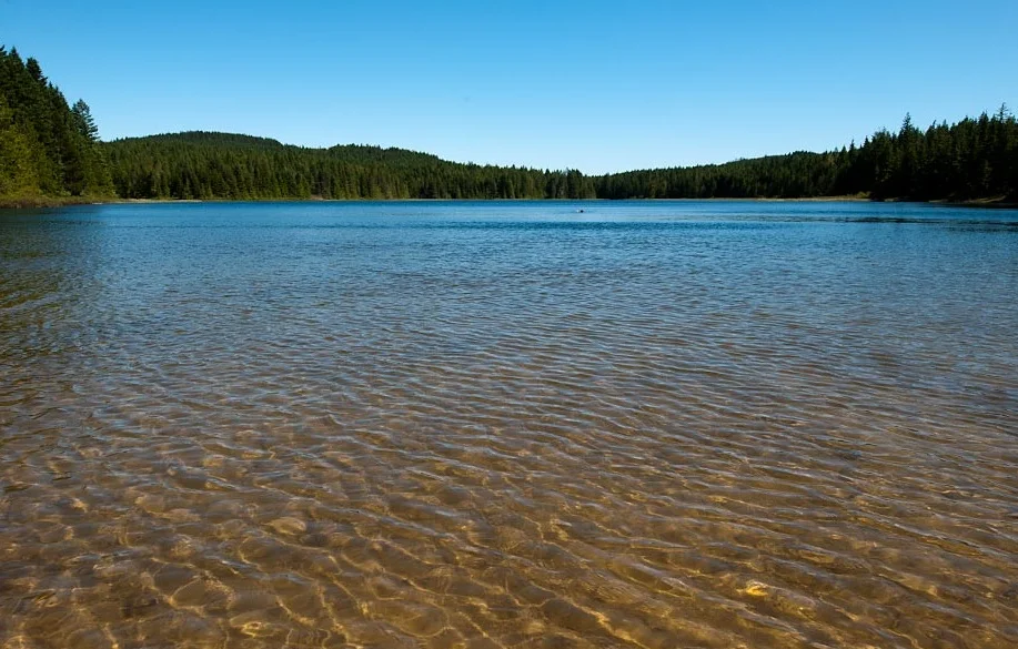 morton_lake.jpg