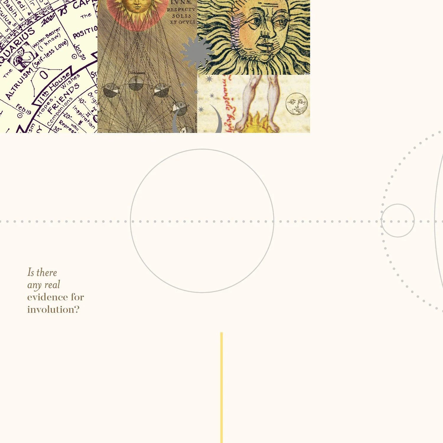 CTDS-ART-FLOW7.jpg