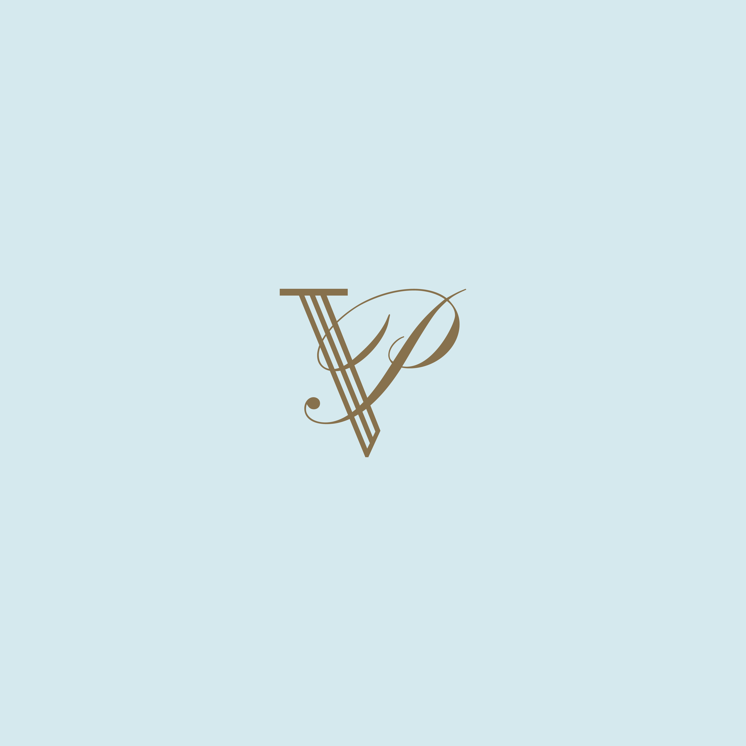A Luxury Connection and Collection