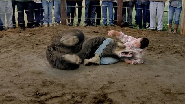 JIM JENKINS | HYUNDAI | TEAM