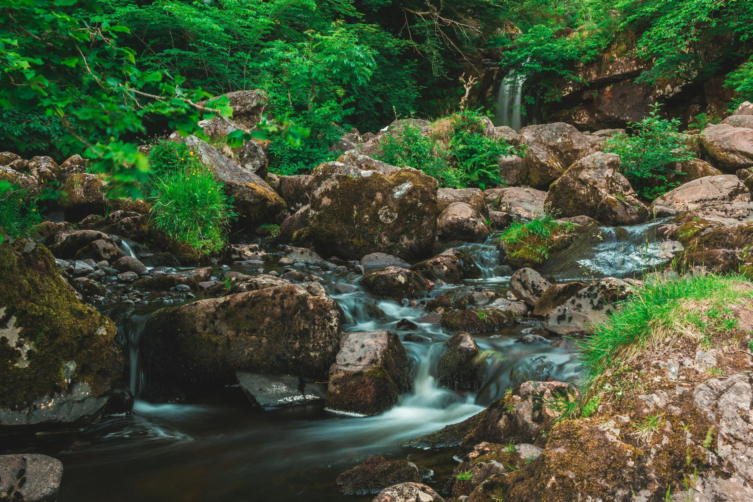 unsplash-image-NeDgRBg432Q.jpg