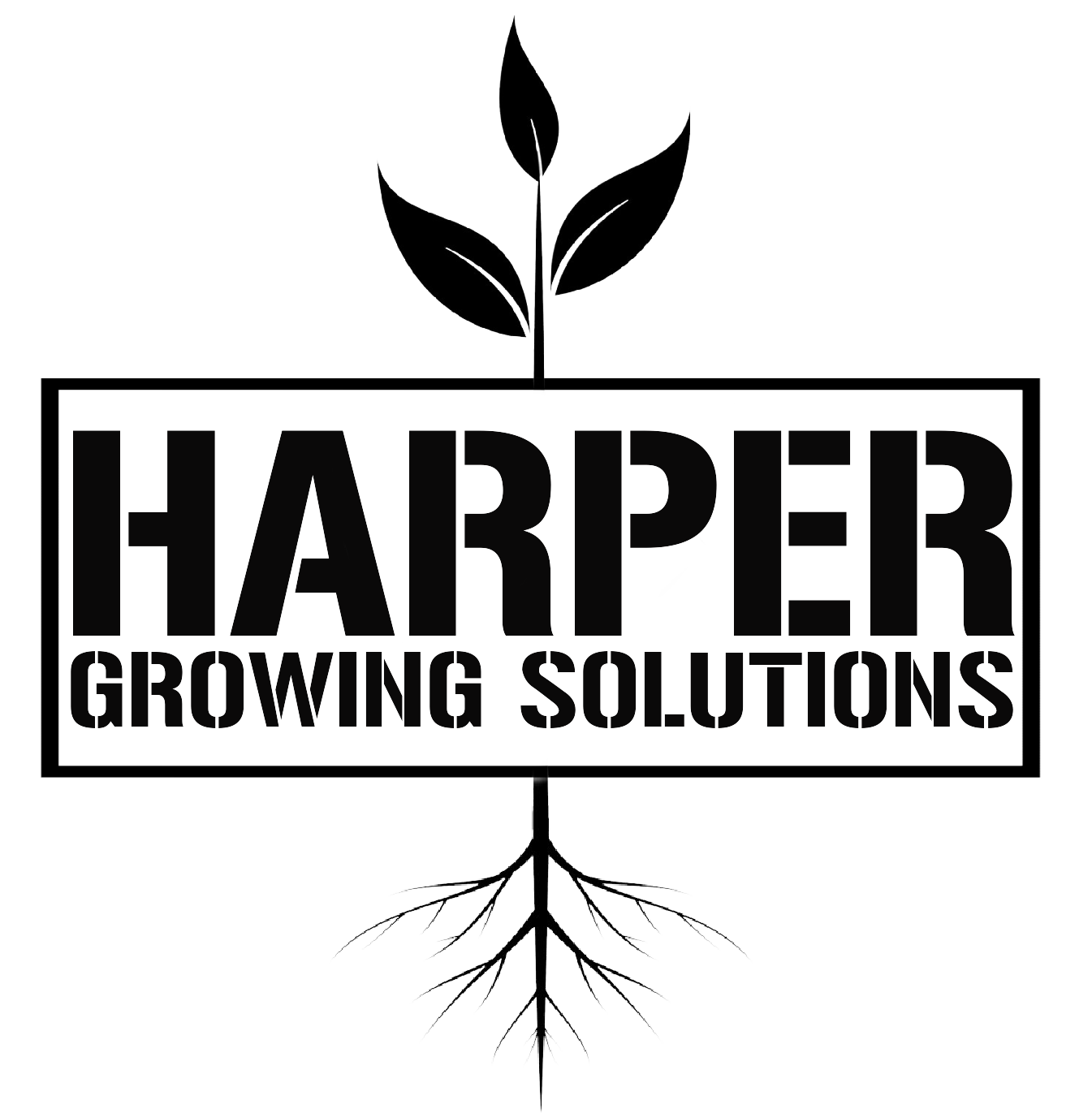 Conifer Trees Harper Growing Solutions Conifer Trees Harper Growing Solutions