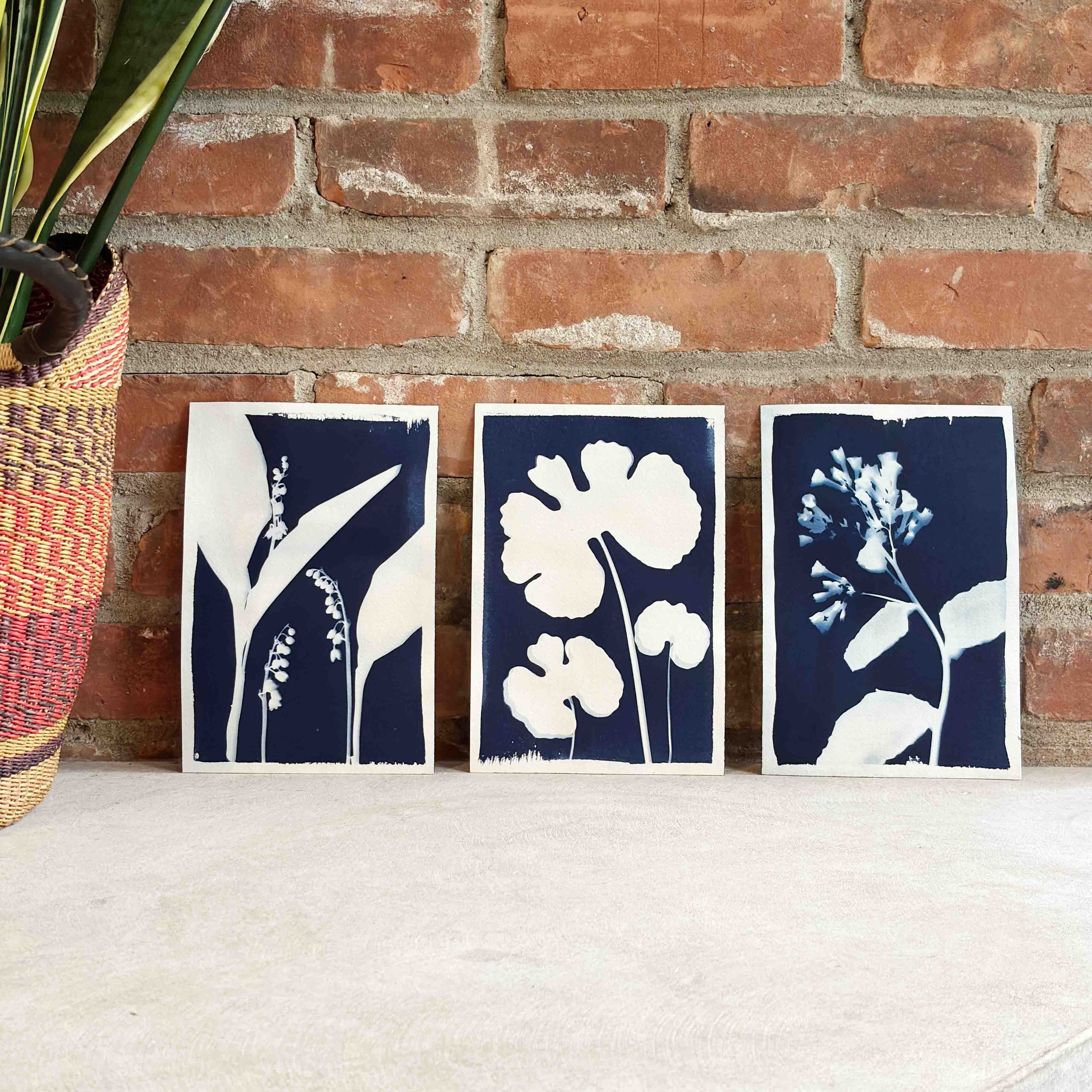 Cyanotype Set D_1.jpg