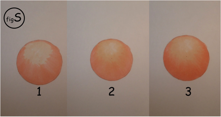 image-19.png