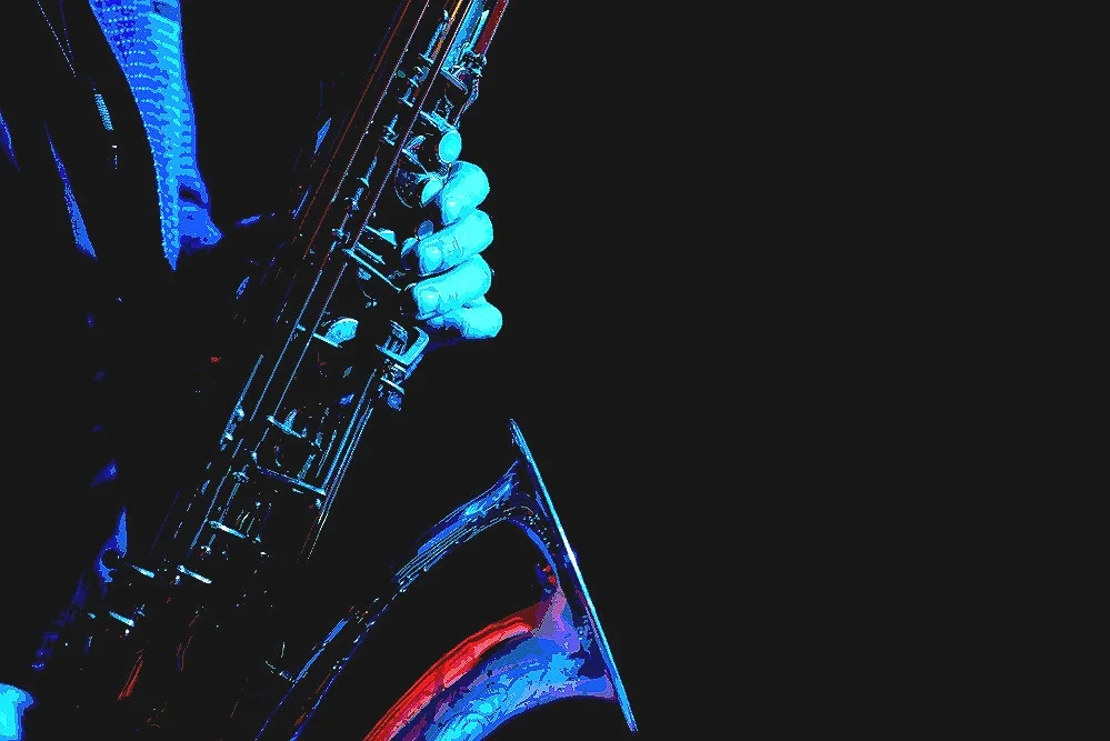 Rich Goldman - Saxophone/Clarinet/Flute