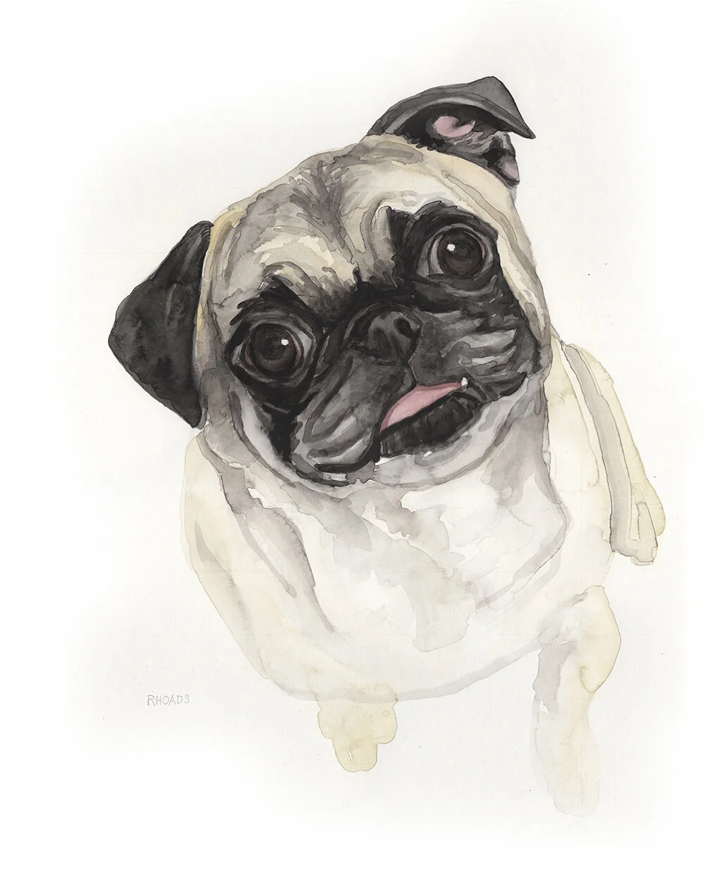 8CB83207-7661-4DE6-8A6F-1D5744D87F24