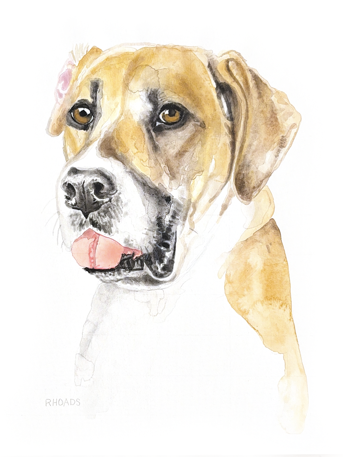 Dolly - 9 x 12 - 005554.png