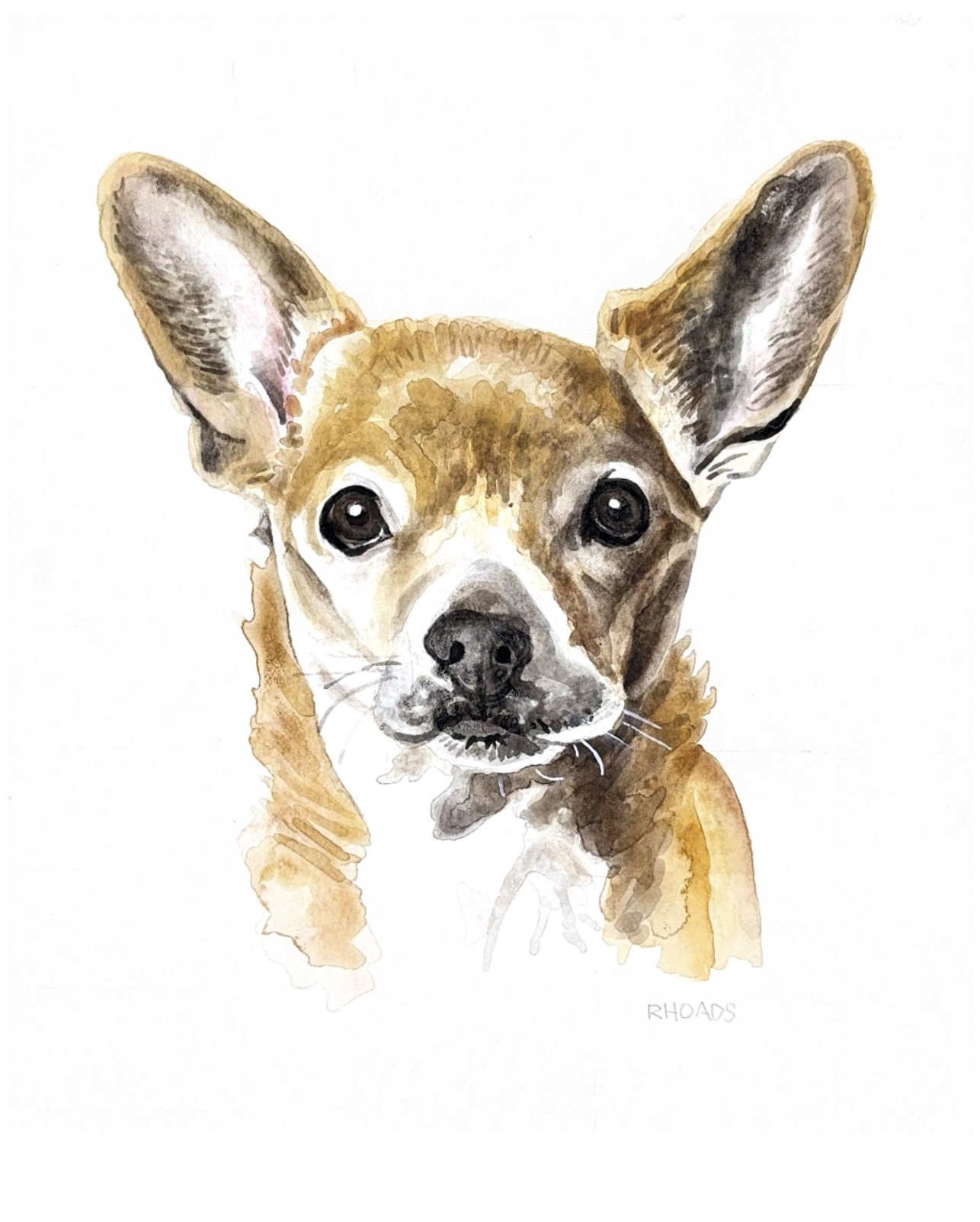 Cheech 8 x 10 005557.png