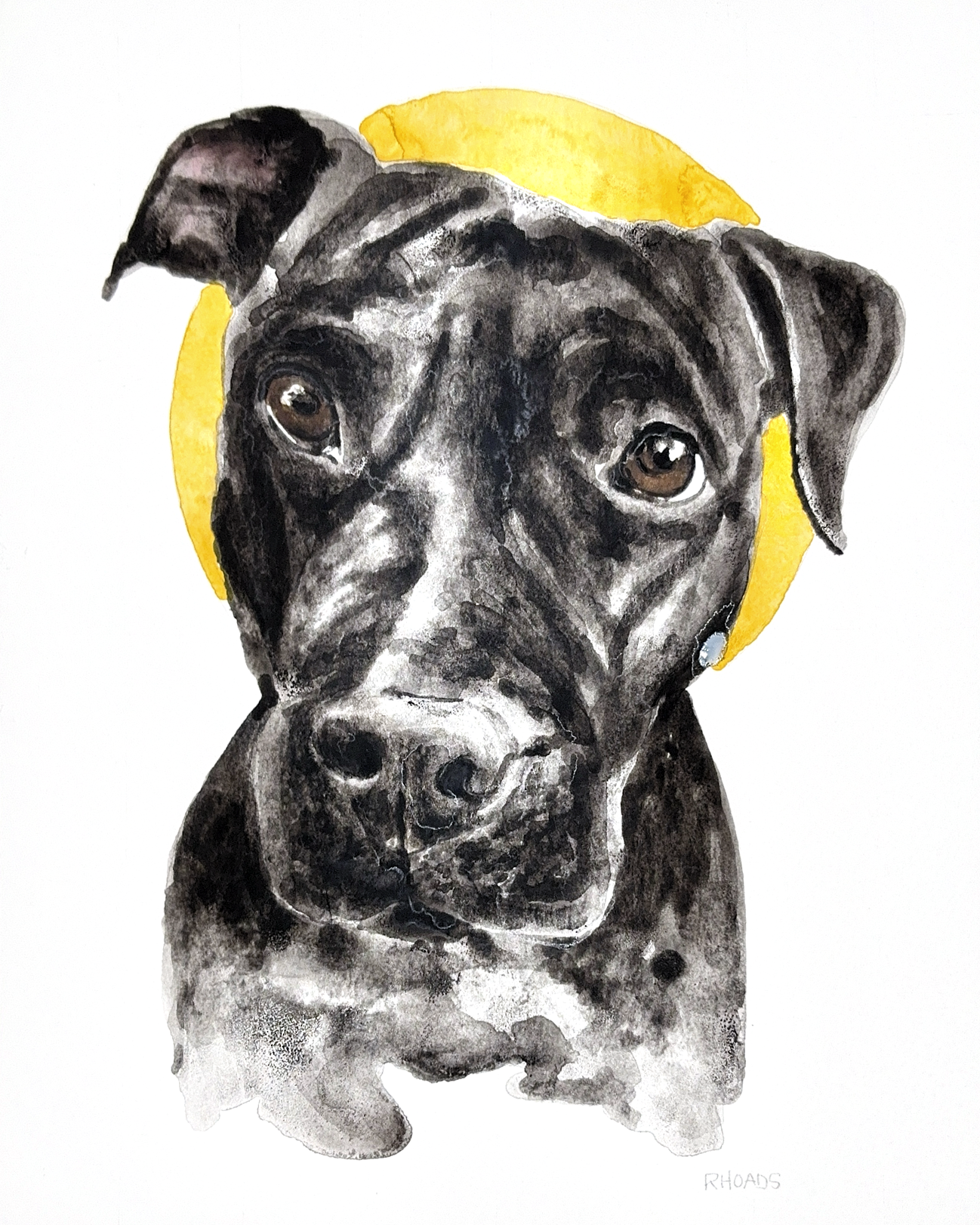 queenie.8x10.png