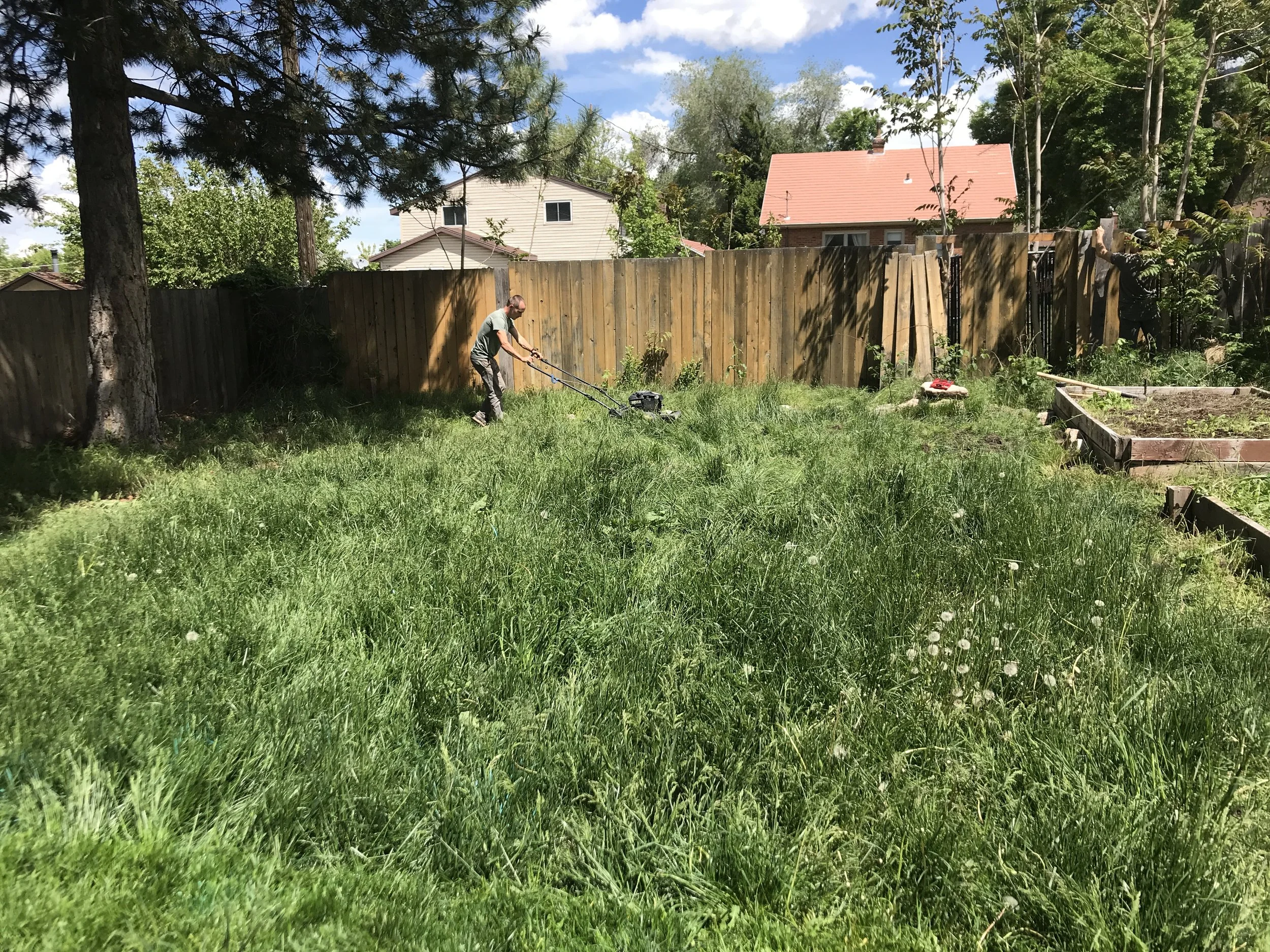 The Birth of a New Garden