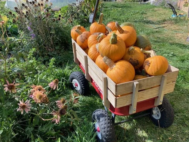Happy Thanksgiving!