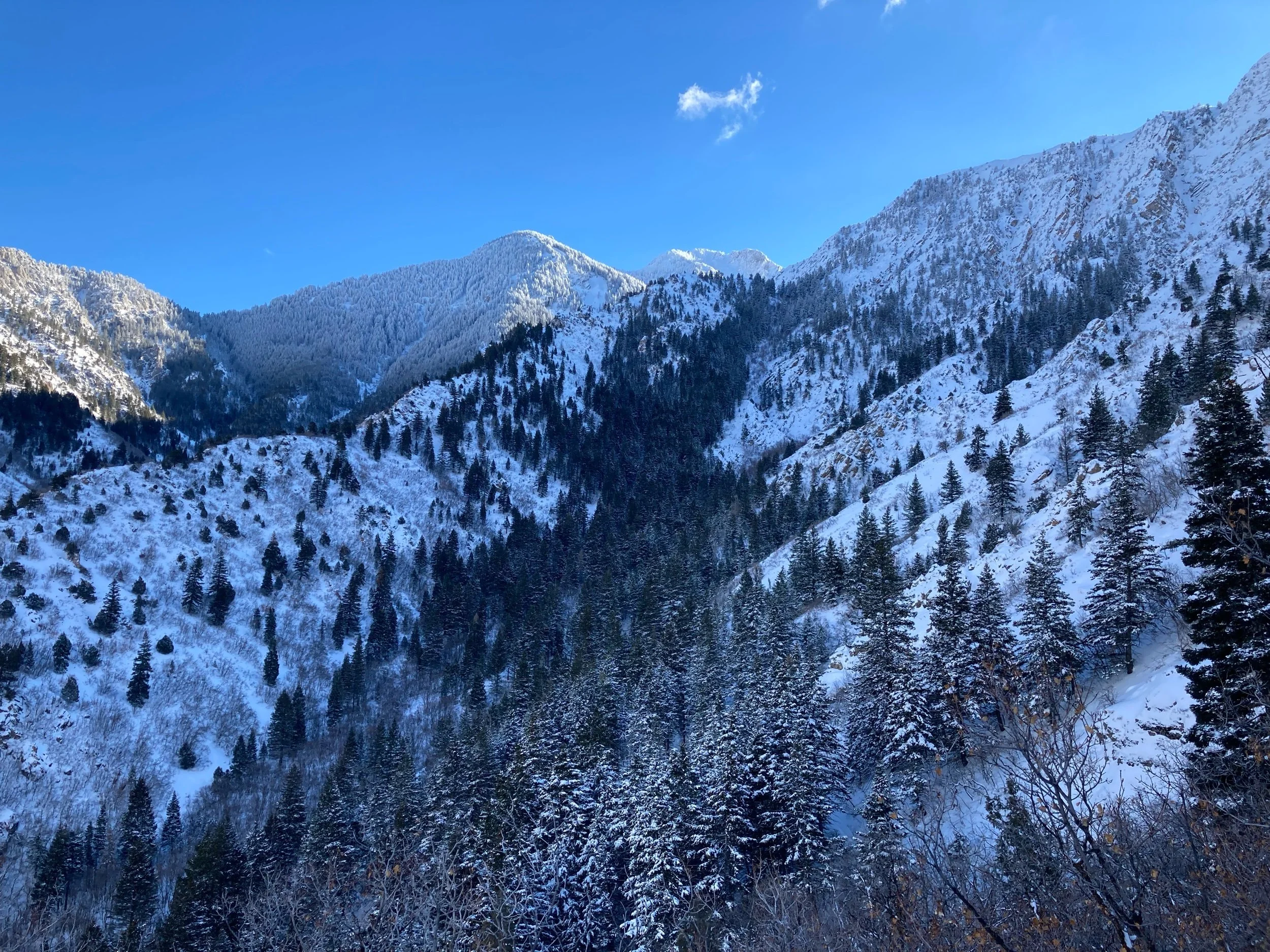 Do you winter hike?