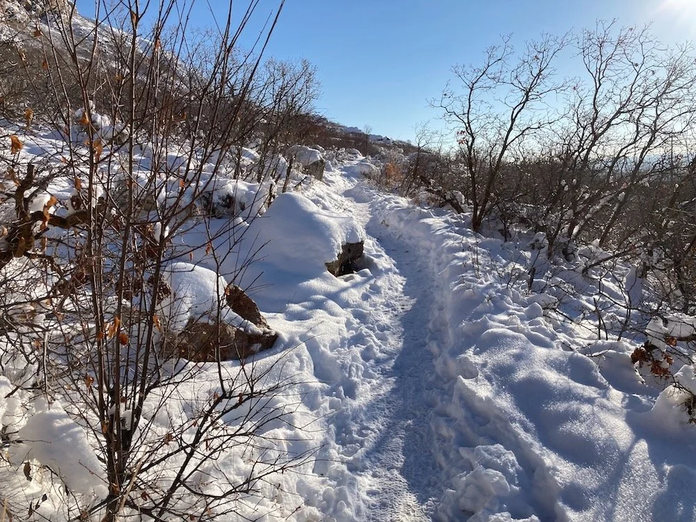 Winter Hiking Season Has Begun!