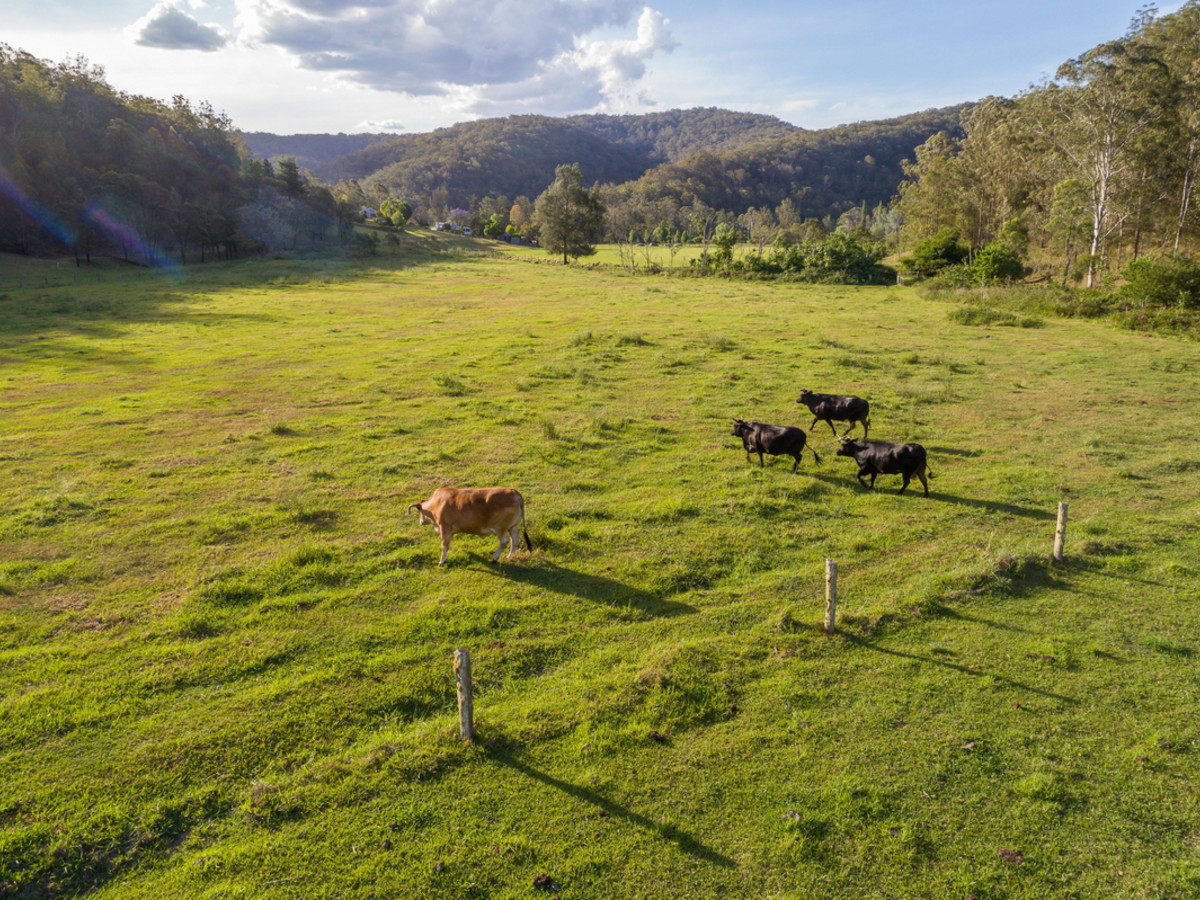 img-18_2269-Wollombi_8759617569_20171208074223.jpg