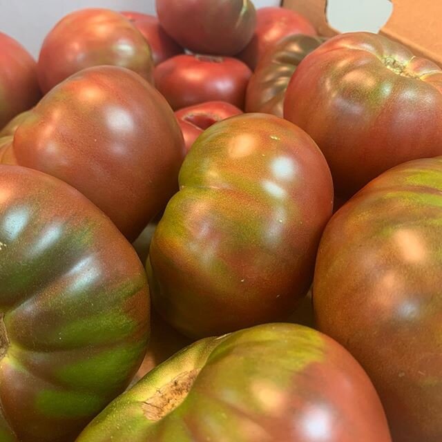 Check out these gorgeous heirlooms from Brant Family Farm! 😍🍅🌱
#supportlocal