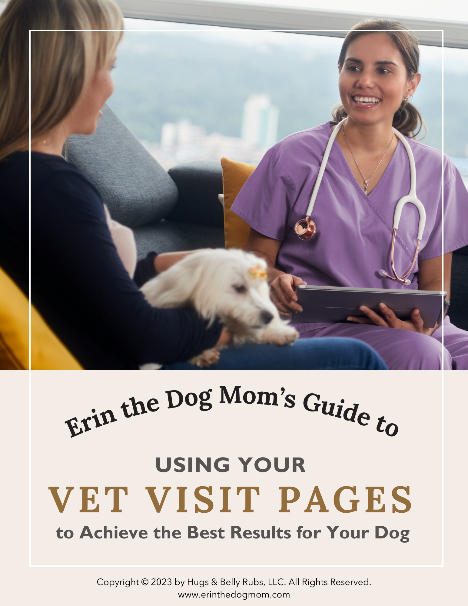 How+to+Use_Vet+Visit_2023.png