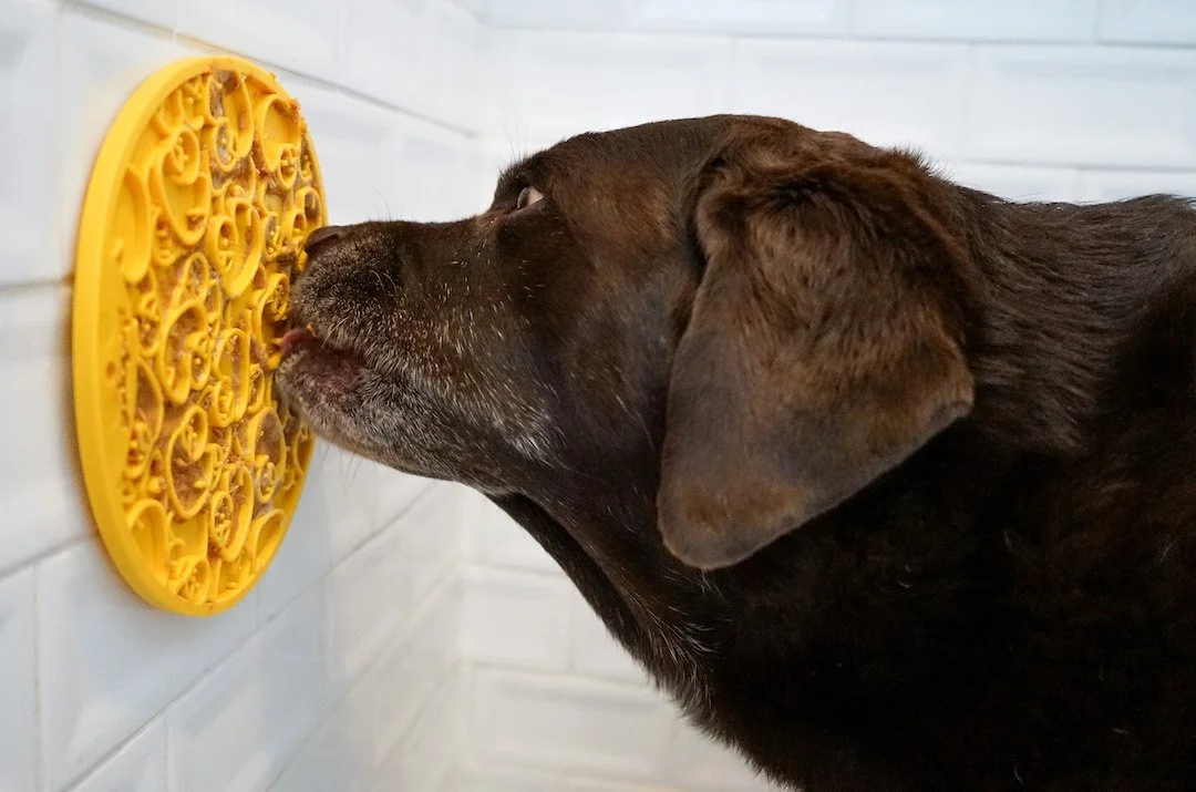 Lick-Mat.jpg