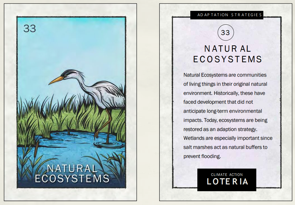 #33 Natural Ecosystems .png