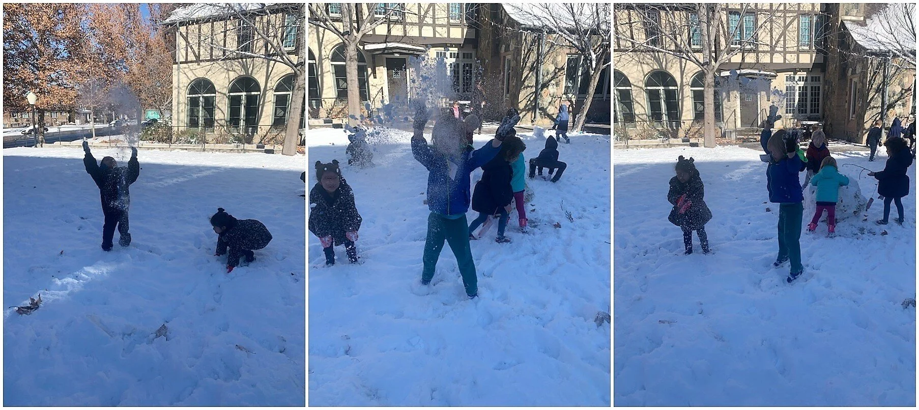Enjoying the Winter Wonderland